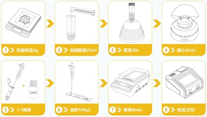 转基因快速检测 守护粮食安全的新兴科技