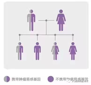 健康托付，关爱彼此 肿瘤基因检测在疗养院中的守护与温度